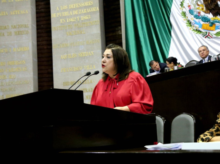 Estamos en contra de la simulación y evasión de impuestos: Adriana Lozano