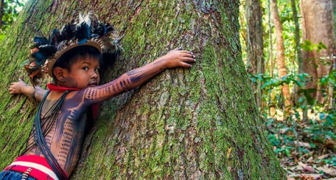 50% de las tribus indígenas del Amazonas han dado positivo a COVID-19 