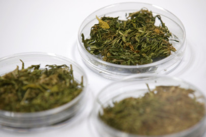 Tailandia comenzará suministro de mariguana a personas con cáncer