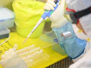 ¡Ya son 811! Aumenta número de muertos por coronavirus