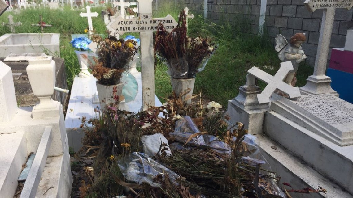 Casos de dengue se reducen tras inicio de la temporada invernal