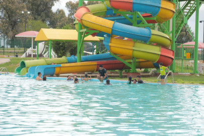 Zoológico, acuario y alberca gratis este sábado en el Festival del Día del Niño en Parque Viveros