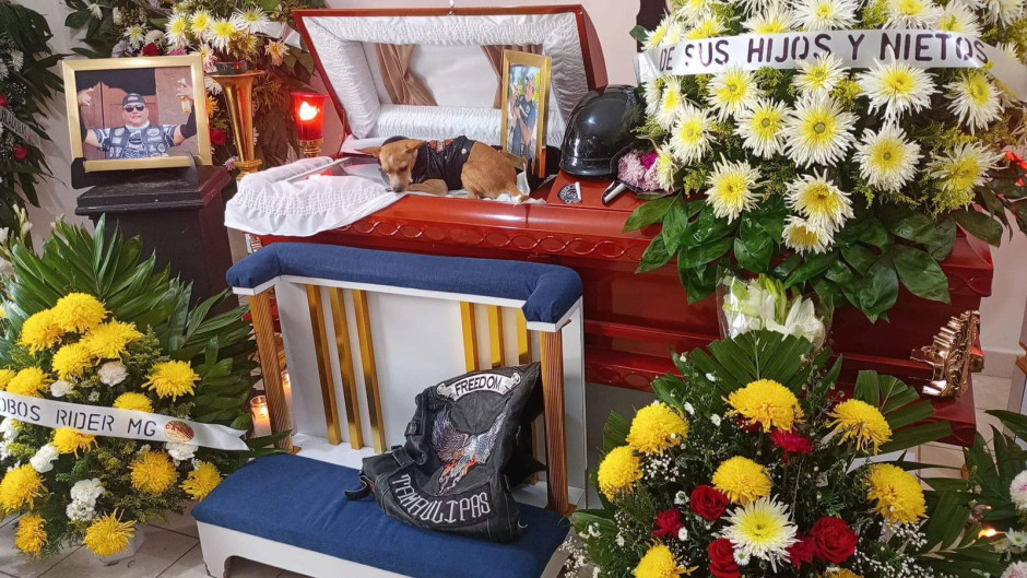 Un perro leal se despide de su dueño en un último acto de amor