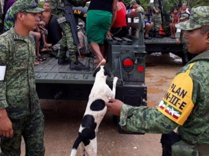 Activan Plan DN-III-E en Veracruz