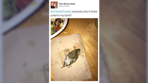 Indignados tras encontrar hoja de laurel en comida mexicana