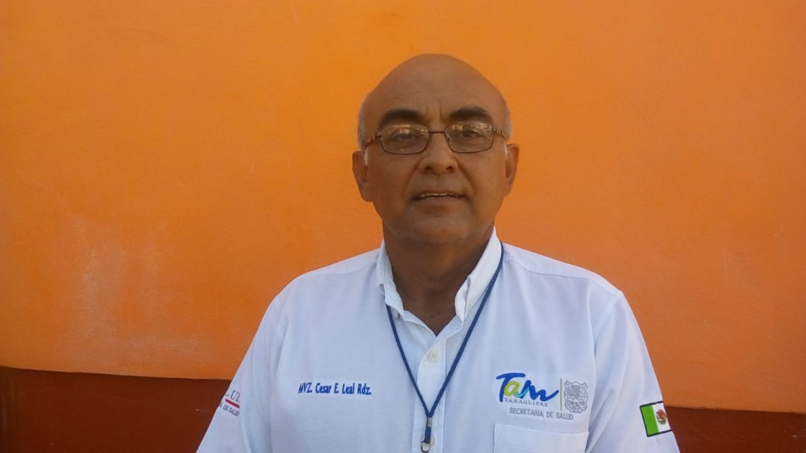 Se estima que hay 80 mil entre perros y gatos callejeros en Matamoros