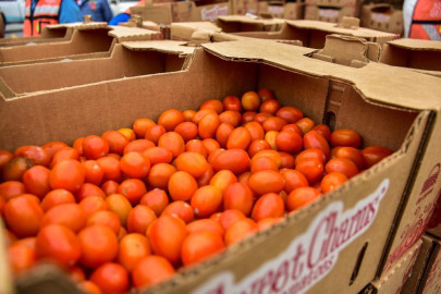 Agradece DIF Reynosa donación de tomate