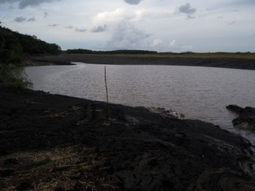 ¡Impresionante! Laguna Chakanbakán de QRoo se recupera