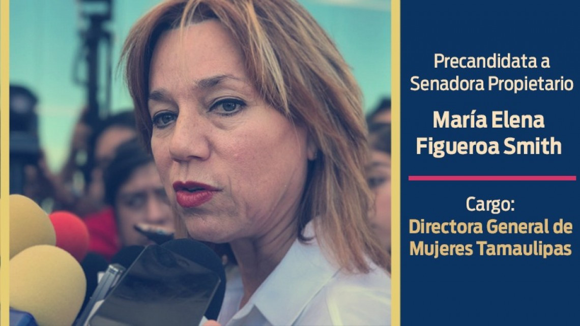 PAN válida fórmulas al senado