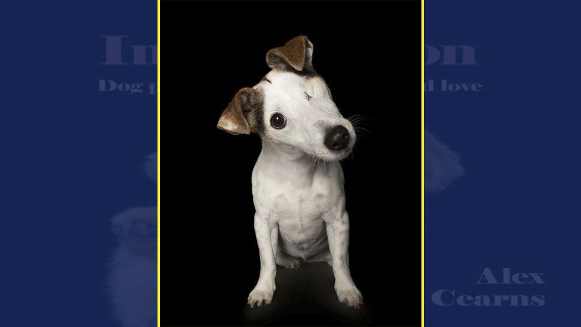 La perfección de los imperfectos