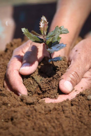 Reactivarán pláticas de concientización sobre el medio ambiente en escuelas 