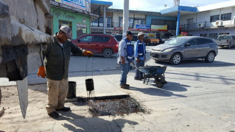 CSPP realiza labores de rehabilitación