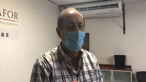 Contabilizan 25 incendios forestales durante la presente temporada