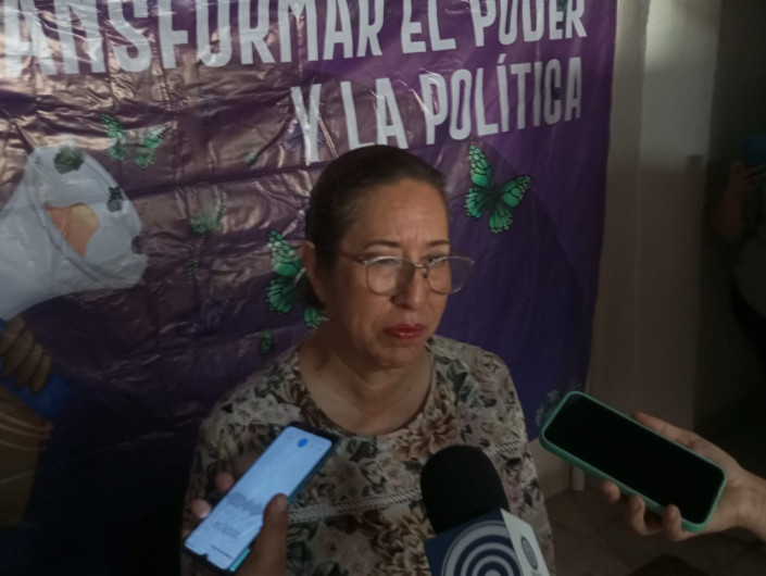 Sumaremos más de 300 mil simpatizantes a Morena: Lupita Gómez