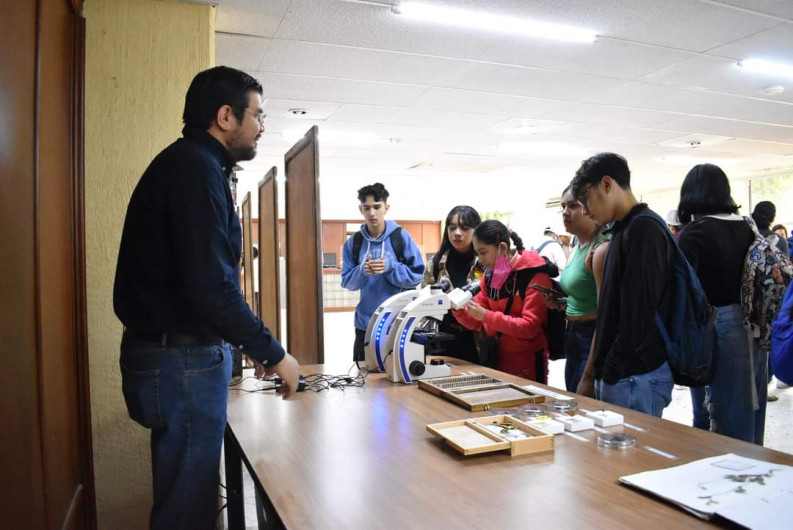 Identifica UAT plantas con potencial bioinsecticida 