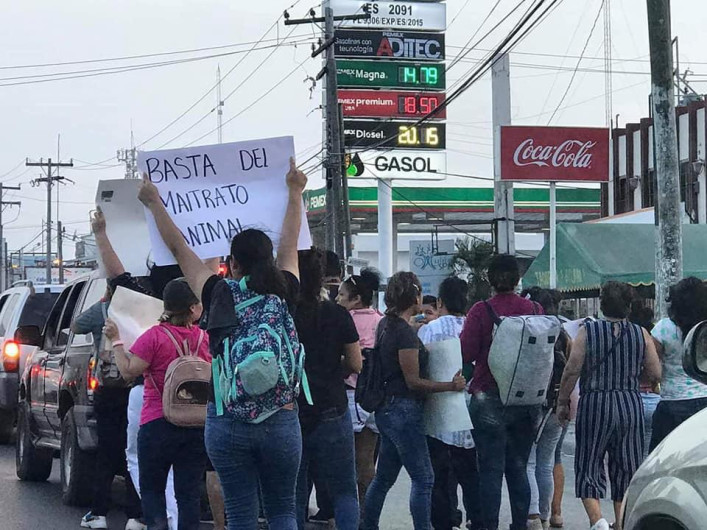 Mujeres piden liberar a los caballos explotados por carretoneros