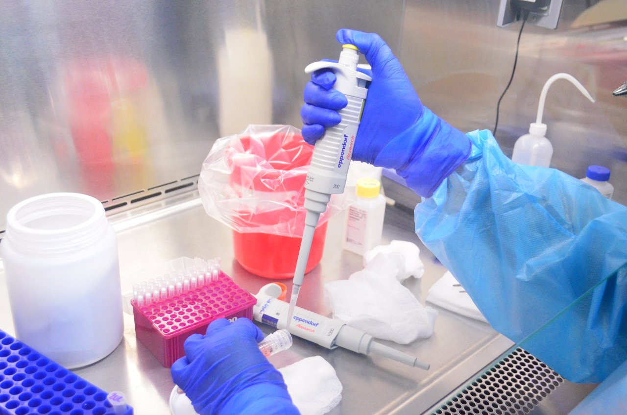 Tamaulipas reporta este domingo 74 nuevos casos de coronavirus