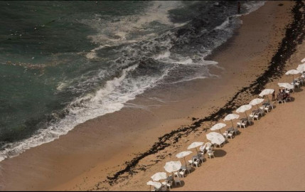 11 personas mueren ahogadas en playa de Egipto