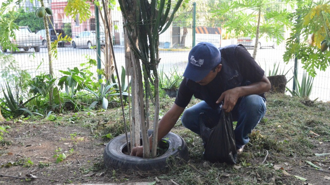 Inicia Gobierno de Tamaulipas plan intensivo de combate al dengue