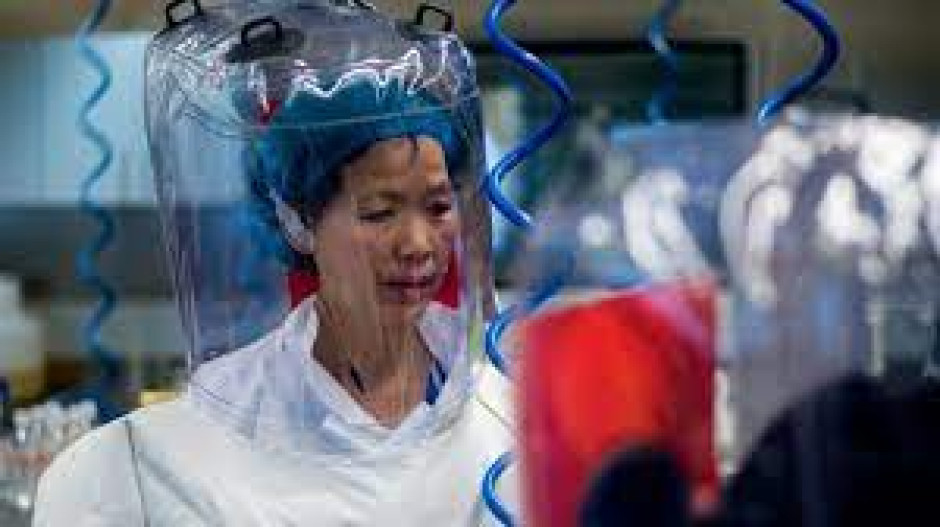 China dice que la decisión de la OMS sobre investigar el origen del Covid-19 ‘es arrogante’