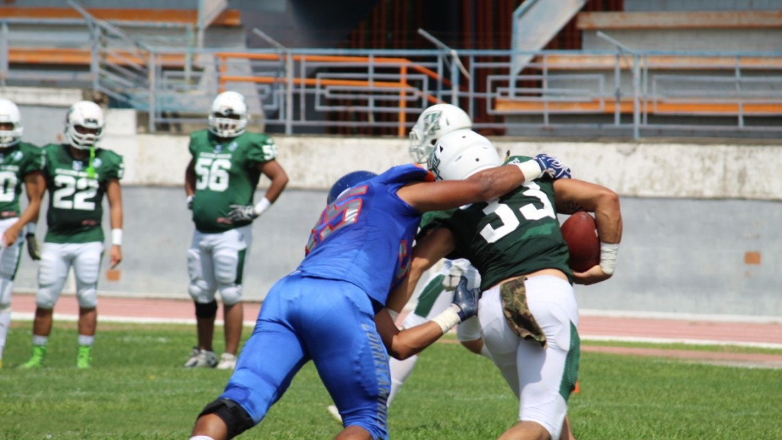 Paso perfecto del Campeón