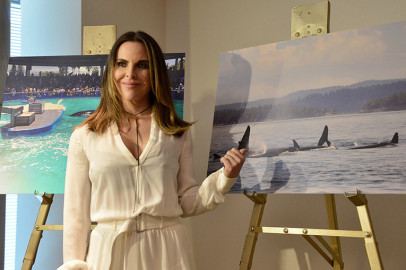Acuario critica a Kate del Castillo por campaña para liberar orca 