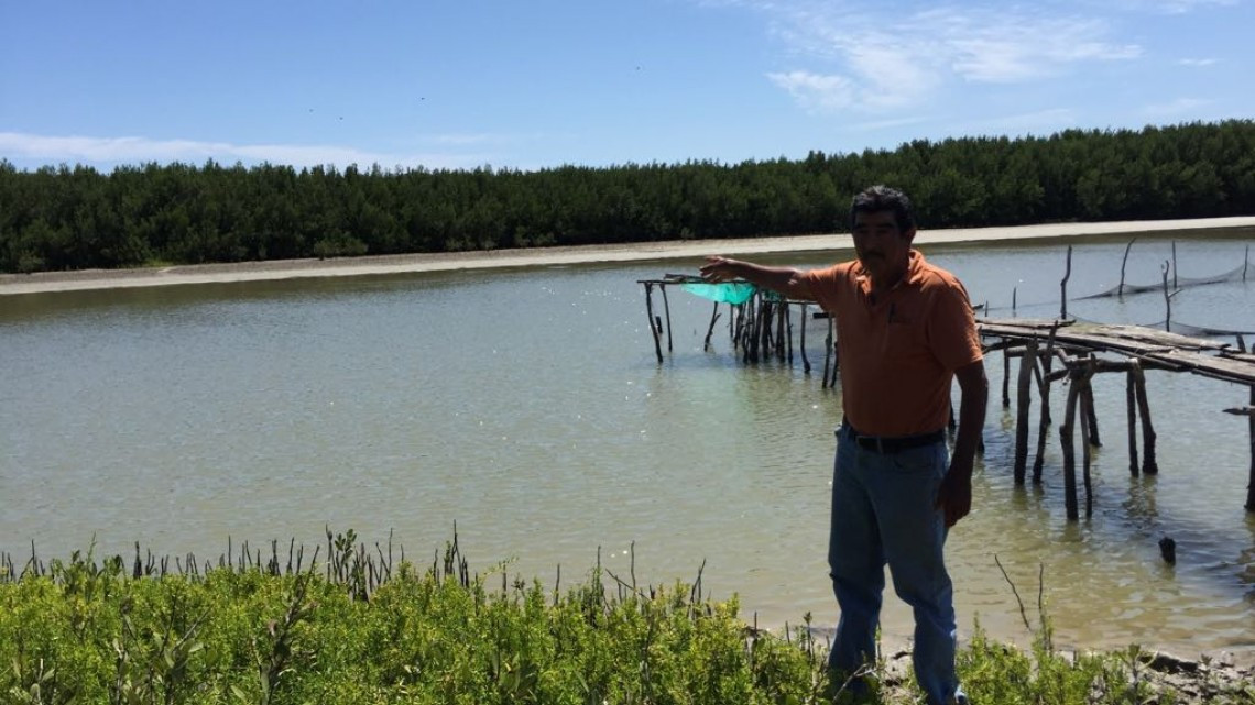 Pescadores denuncian contaminación en Laguna y manglares