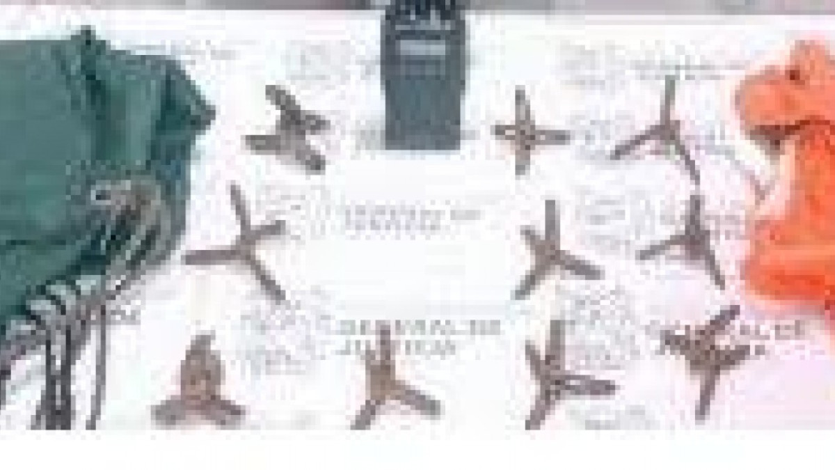 Detienen a dos hombres vinculados con la delincuencia