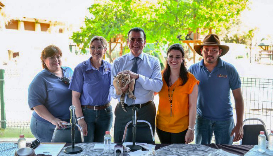 Nace Tigre de Bengala en Nuevo Laredo