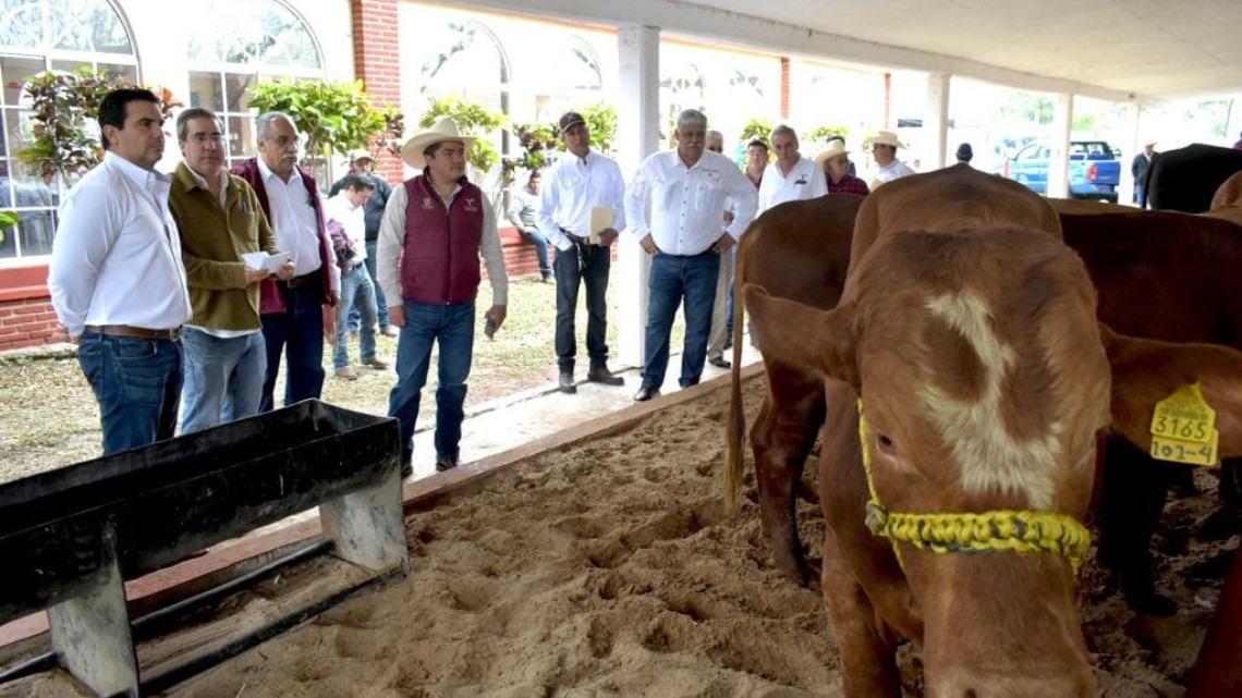 Gobierno del Estado respalda a ganaderos de Aldama con Programa de Mejoramiento Genético