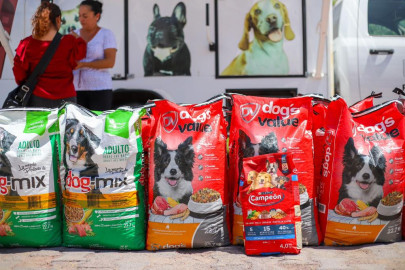 Recibió Alcalde de Reynosa donativo para albergue temporal PAM