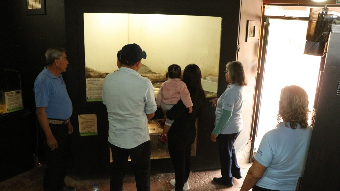 Por Covid-19 adelanta DIF Tamaulipas pago de “Adultos en Acción” en el estado