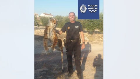 Peluche alarma a vecinos en España