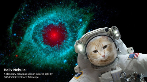 NASA presenta selfies fuera de este mundo