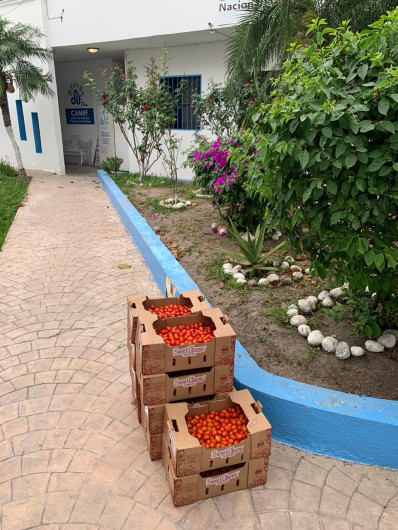 Entregan tomates a Centros DIF Reynosa