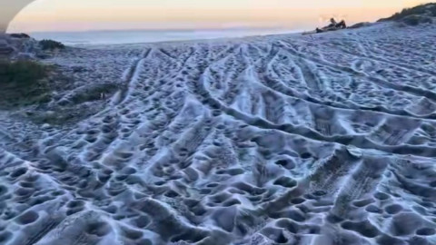 Ola de frío en Chile congela la playa Mariscadero en Pelluhue 