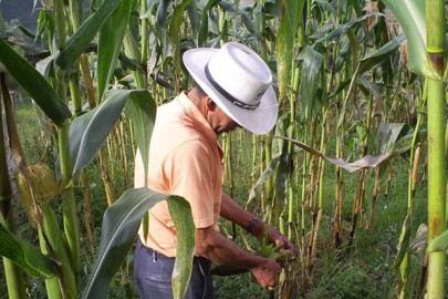 CNC apoyará a campesinos deportados por EU