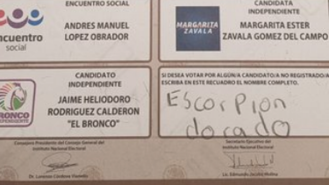 Los mexicanos hacen de las suyas en las boletas electorales