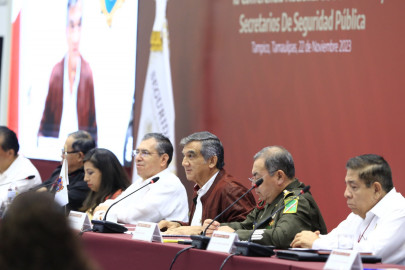 La estrategia de seguridad avanza por el camino correcto: AVA