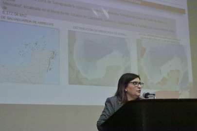 Exploran coexistencia entre arrecifes artificiales y extracción de hidrocarburos