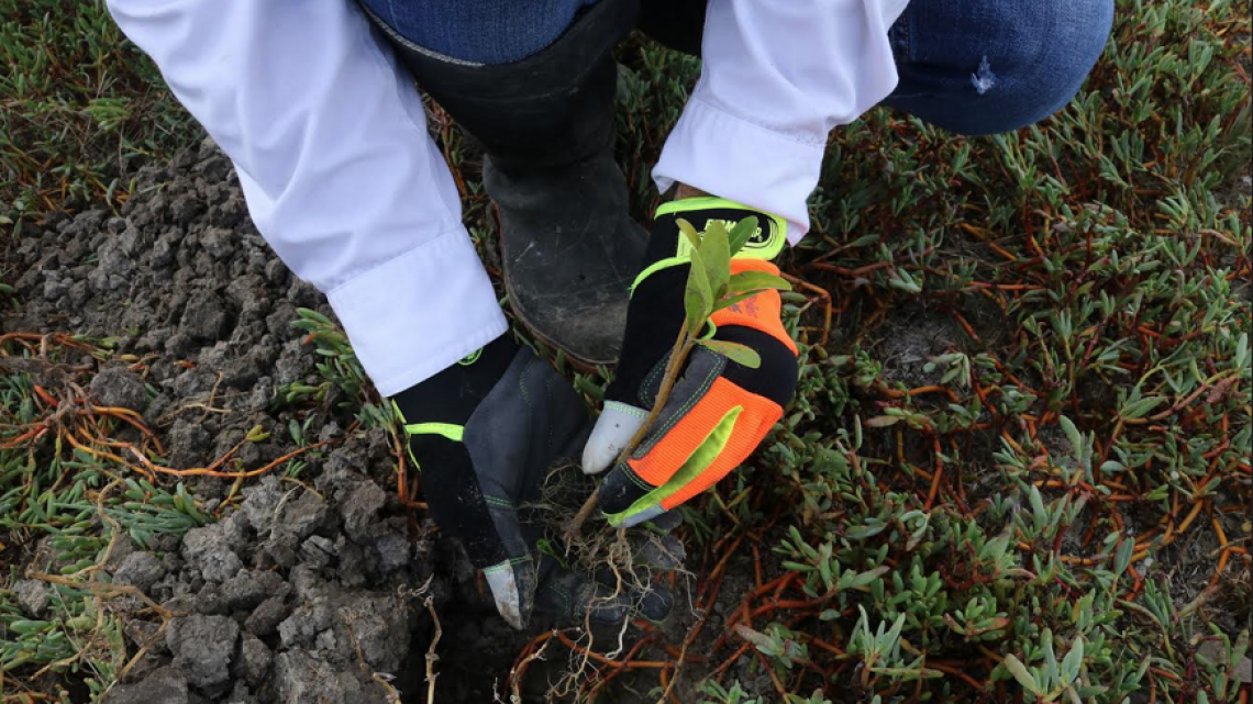 Gobierno de Tamaulipas concientiza sobre conservación del medio ambiente