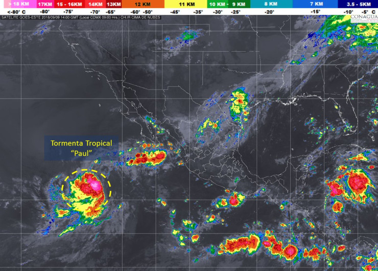 "Paul" se forma en costas de BCS