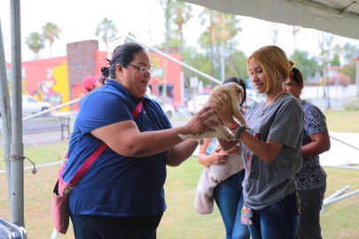 Acogen familias a 29 mascotas durante la feria de la adopción 