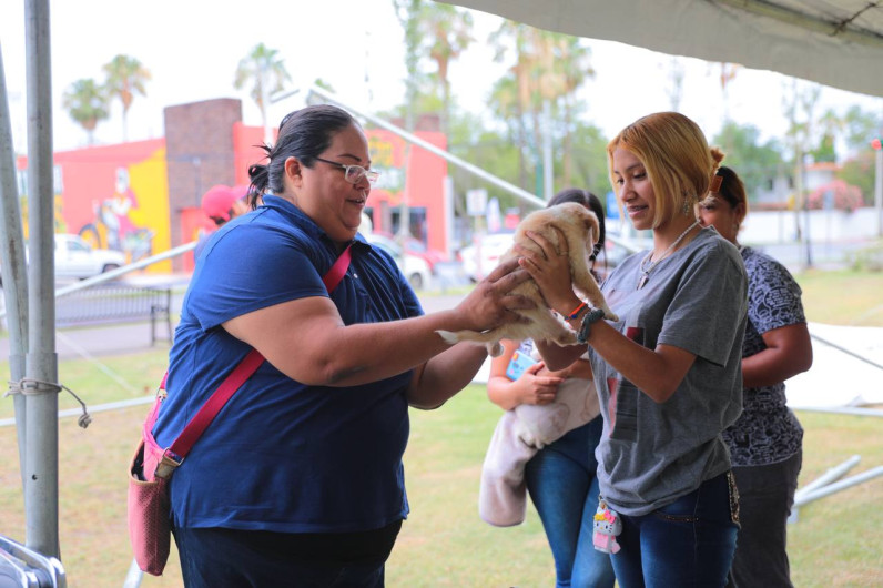 Acogen familias a 29 mascotas durante la feria de la adopción 