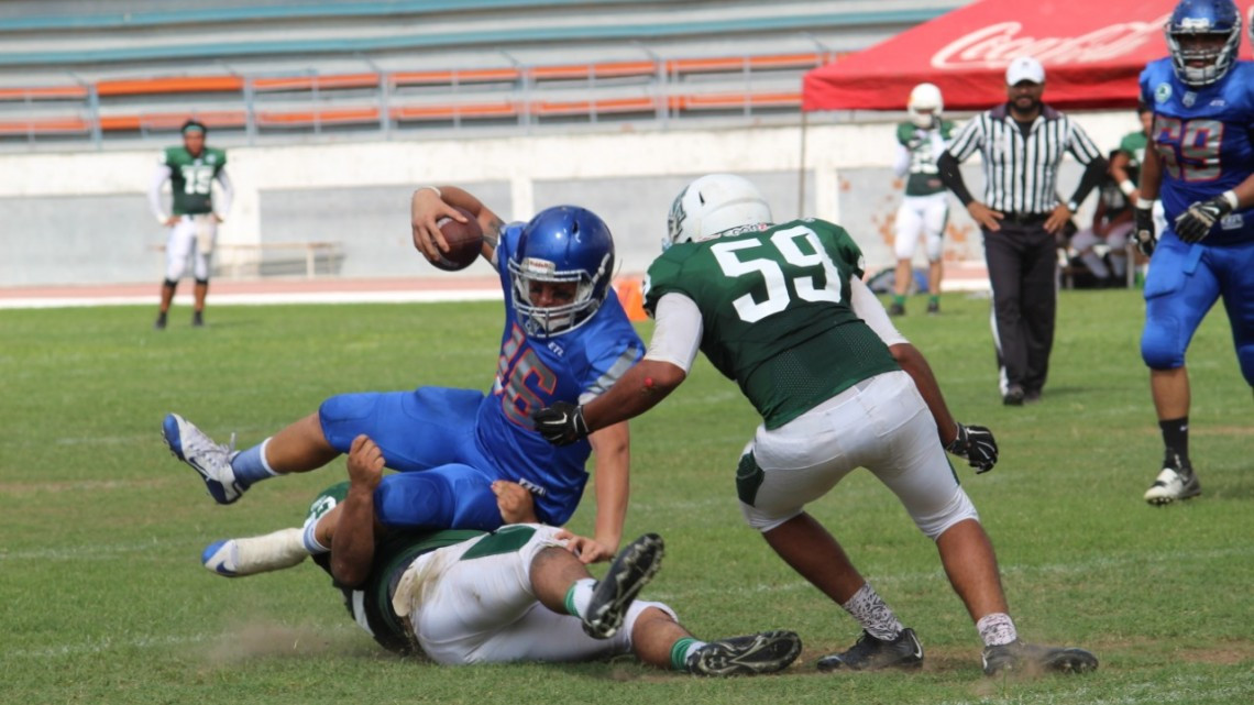 Paso perfecto del Campeón