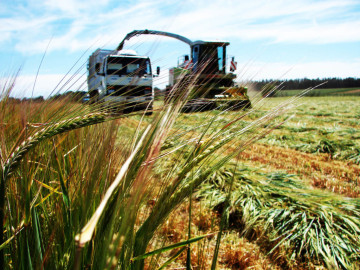 EU prepara misión comercial agrícola a México por T-MEC