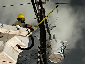 Se restableció servicio para el 79% de usuarios afectados por 'Alberto' en Tamaulipas:CFE