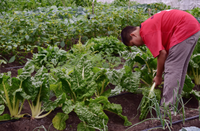 Desarrollo Rural entrega apoyos durante la jornada “Un Gobierno Cerca de Ti”