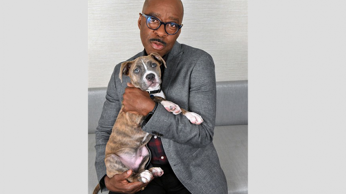 Protagonistas de Isle of dogs posan con cachorritos