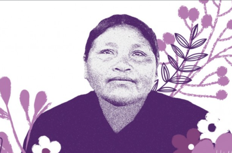 México reconoce responsabilidad en caso Ernestina Ascencio ante la Corte IDH